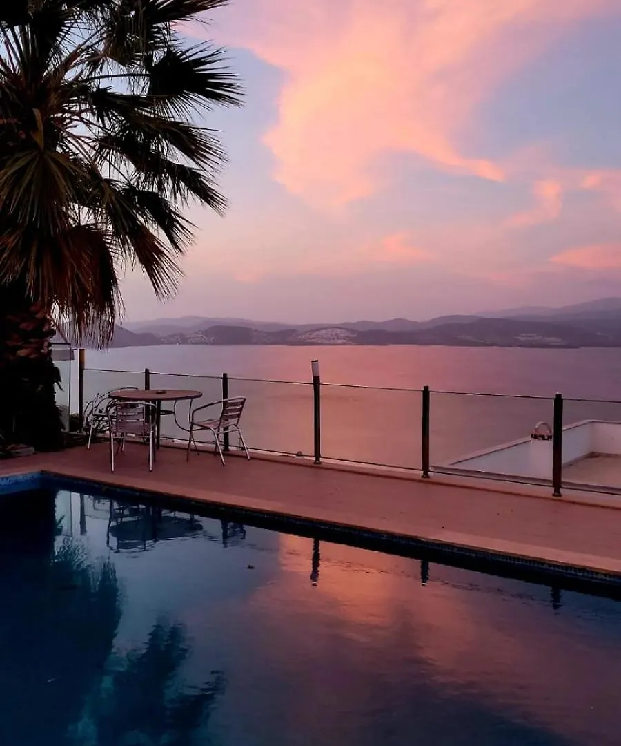 Sea View And Private Pool Villa Selen Bogazici 0*,
