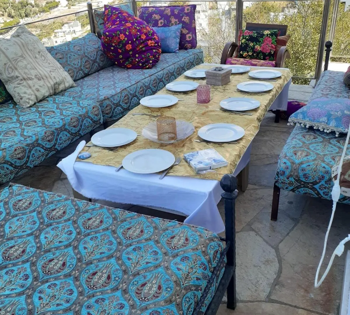 Sea View And Private Pool Villa Selen Bogazici 0*,  Turecko