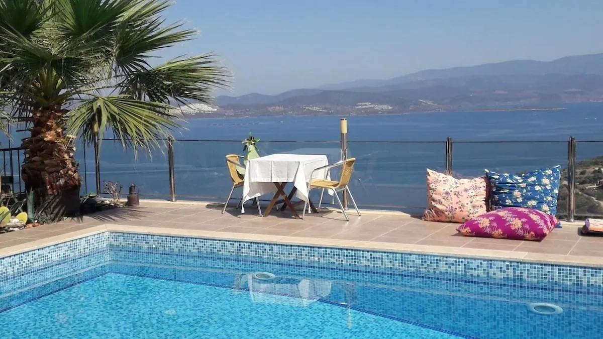 Sea View And Private Pool Villa Selen Bogazici